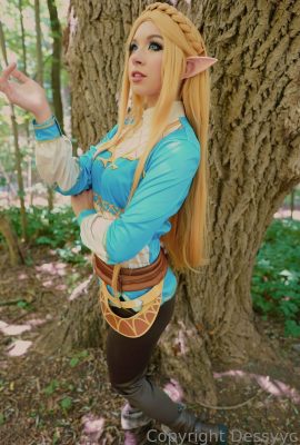 Dessyyc – Zelda