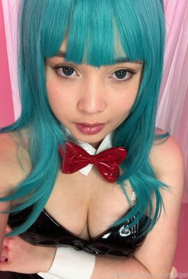 Geisha Virtual – Bulma