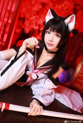 Azur Lane棭@-Tomoyo- (9 foto)