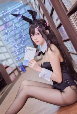 Arty亚缇@Mai Sakurajima Bunny