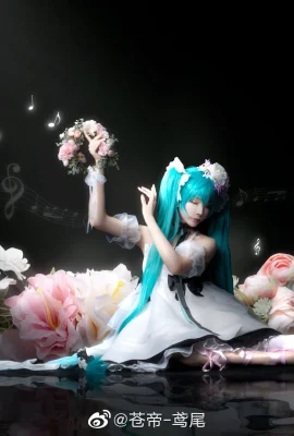 Hatsune Miku@青帝-iris(10 foto)