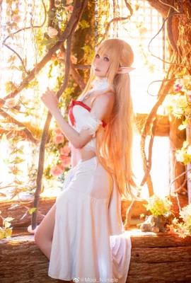 Sword Art Online Asuna @Mooi_Nanase (9 foto)