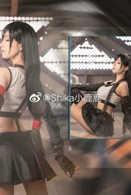 Final Fantasy 7 Tifa Lockhart @Shika小鹿鹿(9 foto)