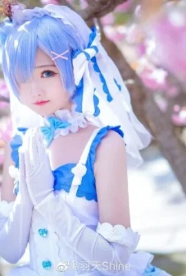 Dari awal, Rem Hanayo cos, cn Yutian Shine yang imut dan imut (12 foto)