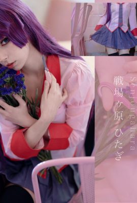 Himeecosplay – Hitagi Senjougahara