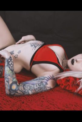 Hei_drunni – Harley