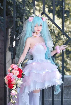 Hatsune Miku Hatsune Miku fan Hanayome cn: Sakura-Sakura (8 foto)