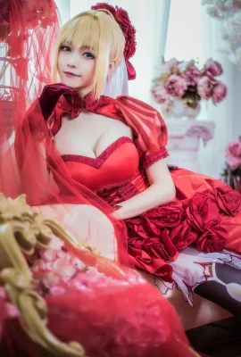 Fate/Extra Nero Claudius Rose Dress.ver cn: Gulungan besar dan gulungan kecil (12 foto)