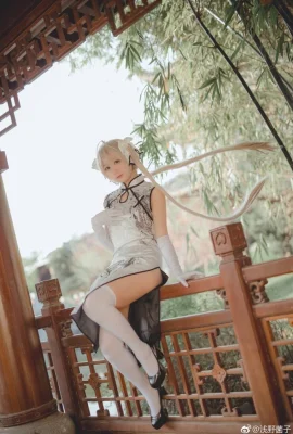 Yuan Zhi Kong Kasugano Qiong cheongsam sutra putih cn: Asano Junko (10 foto)