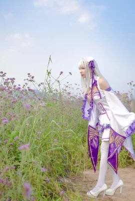 Perihal: Kehidupan di Dunia Berbeda dari Nol Emilia@彦子不breakable(9 foto)