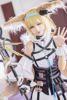 Bahtera Lily Lembah Lembah Besok @是Saudara Kelinci w (9 foto)