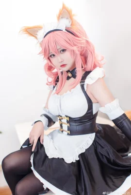 FGO Tamamo Mae @ Radar Elf yang dibekukan cepat (9 foto)