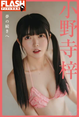 Azusa Onodera (Photobook) Album foto FLASH—Untuk kelanjutan mimpi (139 Foto)