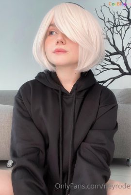 Neyrodesu – 2B