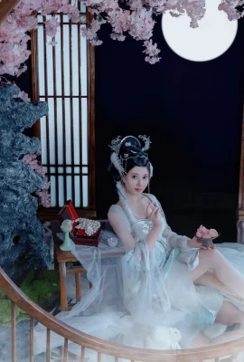 Peri Chang'e setiap tahun (49 Foto)