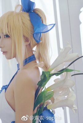 (Soso-sophia) Gaun Sabre Arturia Ver.