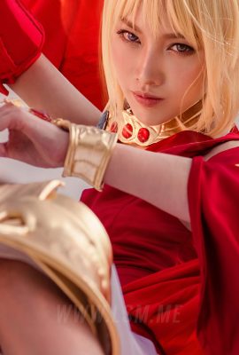 (Ginni Terbalik) Final Fantasy 14 Liesel COS