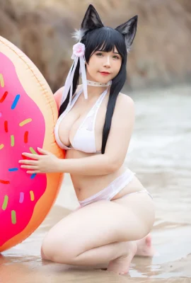 Hei Hei Sembunyikan Bikini