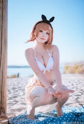 Atelier Lysa Lysa Baju Renang cos cn Prince Lily (9 foto)