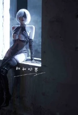 Nier Automata 2b fan cheongsam cos cn Qiu dan Corgi (9 foto)