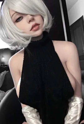 Shinuki 2B (21 foto)