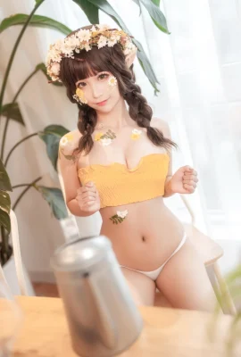 (Silly Momo) Peri Bunga dari Kerajaan Bertelinga Runcing