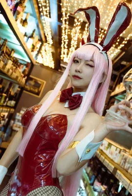 Kelinci CerdasCosplay Zero Two Bunnygirl