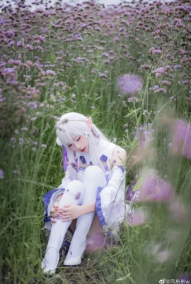 Perihal: Kehidupan di Dunia Berbeda dari Zero Emilia Battle Suit @风东东w (10 foto)