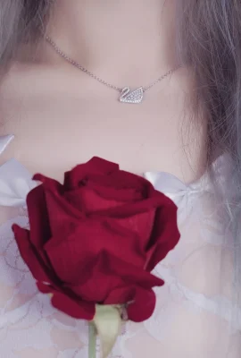 Cosplay eloise renda lembut