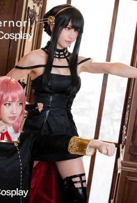 Nori – Keluarga Spy X