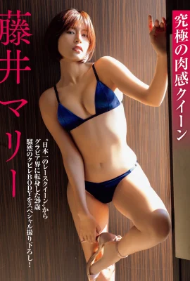 (Fujii Mari) Gadis dengan payudara indah dan sosok yang baik mengendalikan kata sandi lalu lintas (14 Foto)