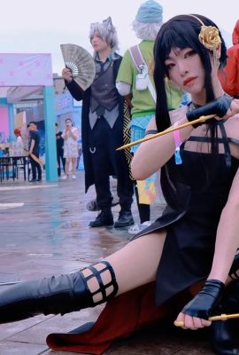 Succubus_86 (atribut kucing 86) – yor forger