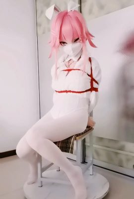 Perbudakan Yae Sakura