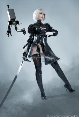 Zirael Rem – Lateks 2B