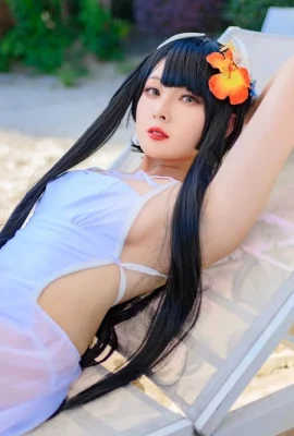 Summer Azebra Line Hiei Swimsuit