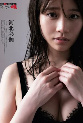 (Hebei Caijia) Mata dewi panas menawan dan seksi (10 foto)