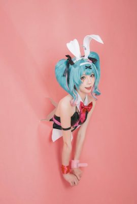 Kitaro_kitaro Miku Lubang Kelinci